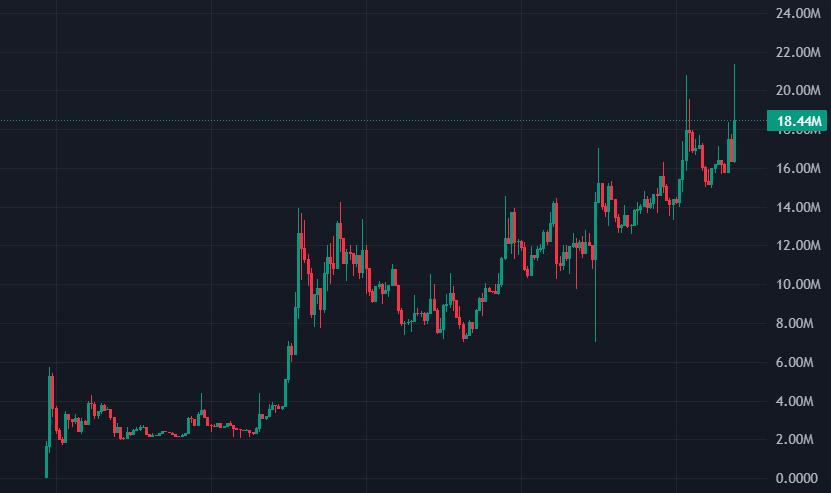 Shrebobo tweet media