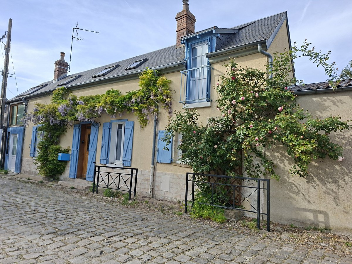 Sorcière du Berry 🦂 tweet media