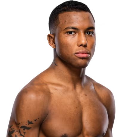 primeira fase tweet media