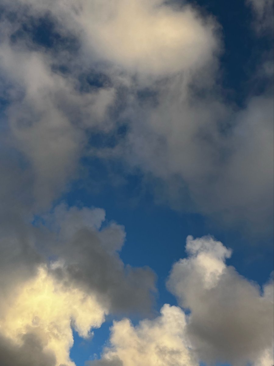 Counting joy before my eyes strain in spreadsheets #walksees