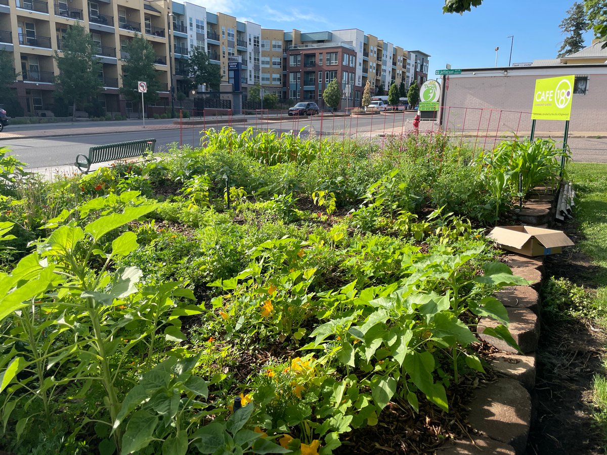 Happy Earth Day! 🌎 We cannot wait until our garden looks like this again in a few months. Stop in today for fresh, tasty food, grown right here on Spaceship Earth! cafe180.org/menu