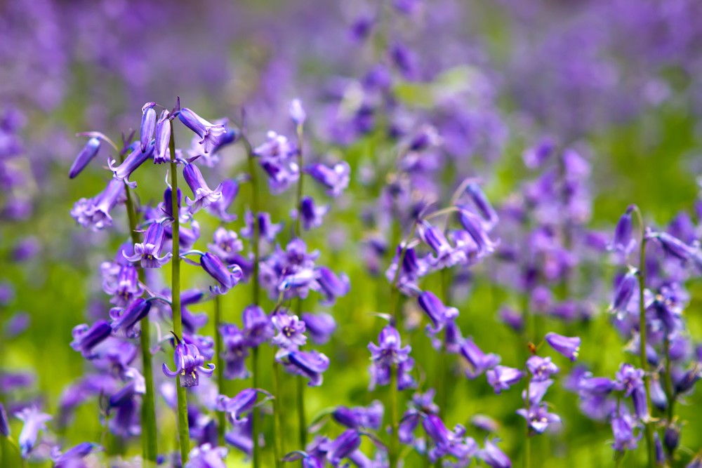 JCPinBRS_Bath's tweet image. Well, have a good evening #Bristol and #Bath. 

We are going home, but there will be jobs posting till 8pm, and we will be back tomorrow at 9am. See you then Nikki