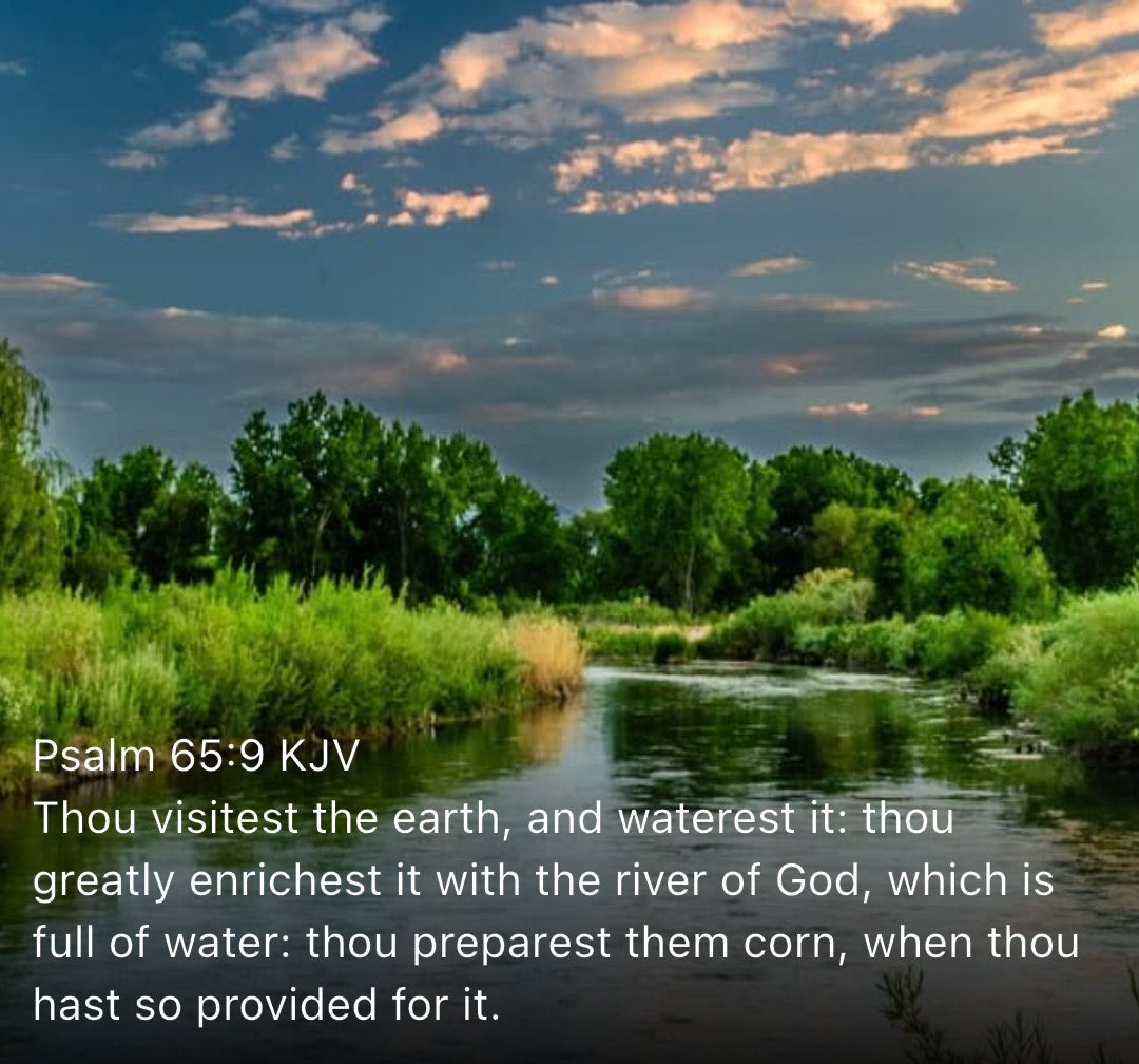 New Testament Christian Church Of Brooklyn, NY tweet media