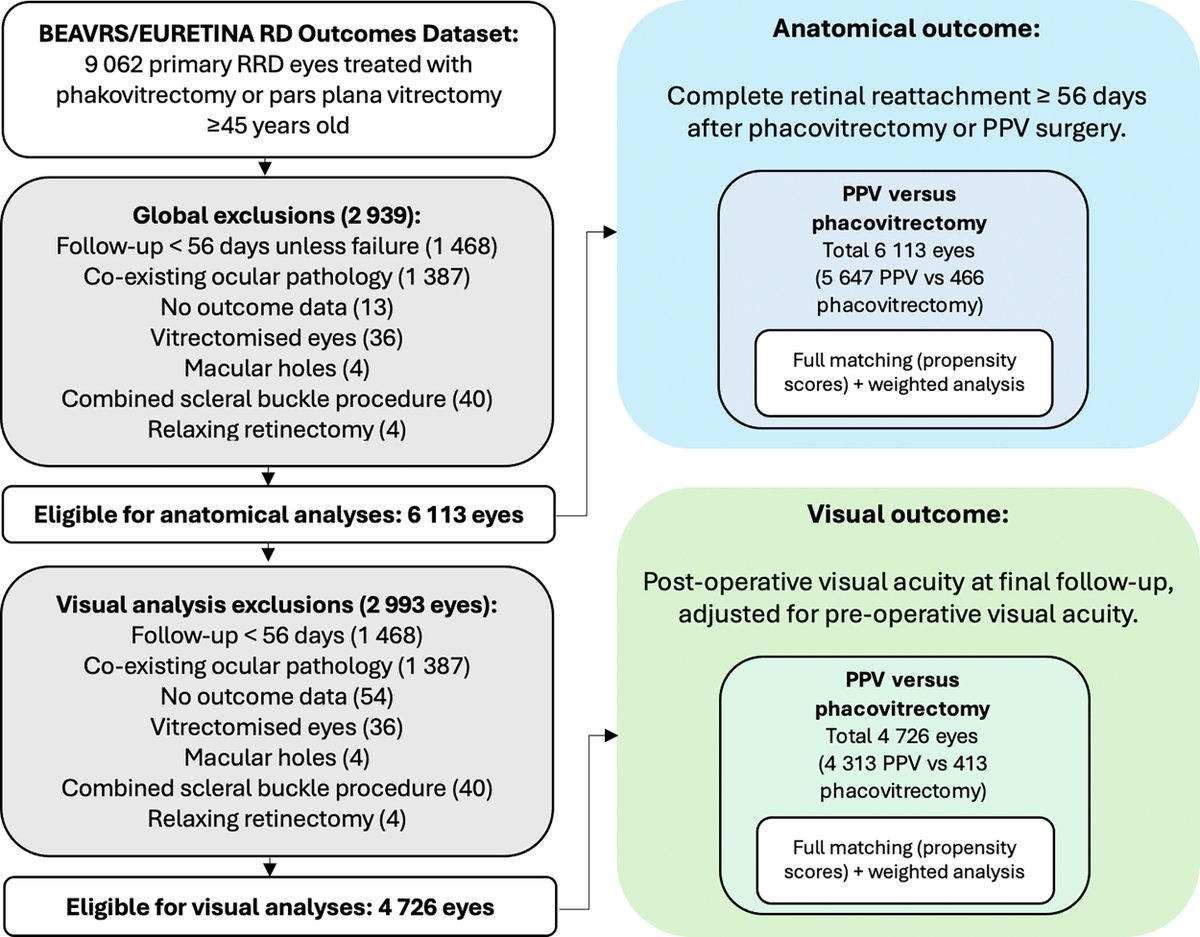 Ophthalmology tweet media