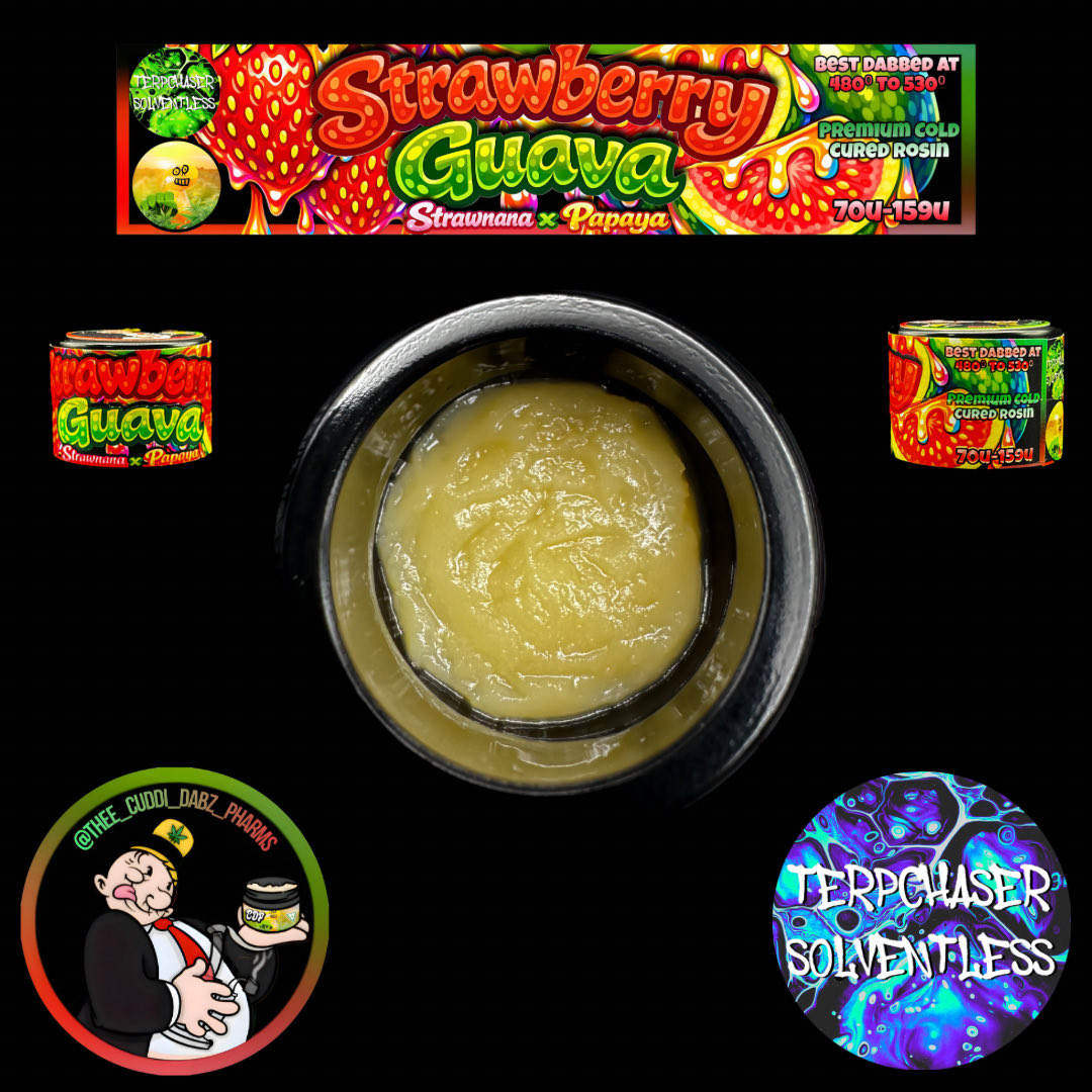 Gasolinenterps's tweet photo. Strawberry Guava cold cure rosin, grown by  @Cuddi_dabz &amp; processed by Terpchaser Solventless. sweet berry fruity notes with slight  gas notes on the back end on the inhale &amp; exhale. Ok amount of lingering terps in the mouth. Moderate clean high. 8.5/10 https://t.co/V0bYfIZ1V1