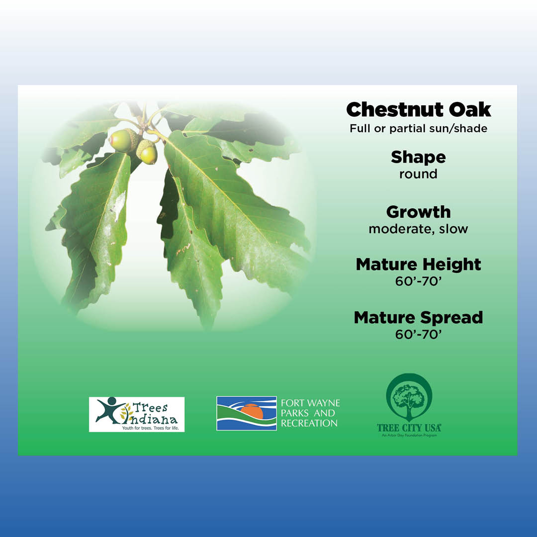 Fort Wayne Parks tweet media