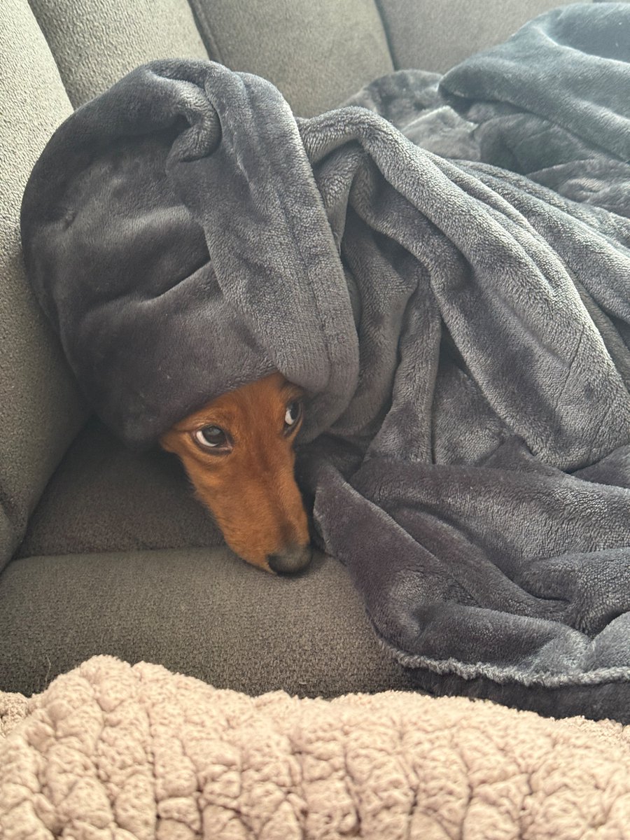 Known sandwich pervert tweet media