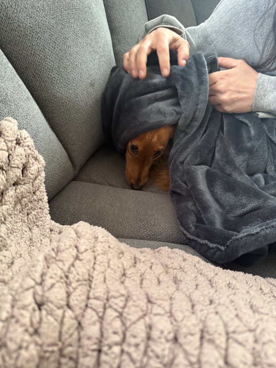 Known sandwich pervert tweet media