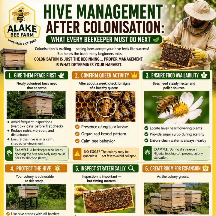 ALAKE BEE FARM (@alakebeefarm) on Twitter photo 