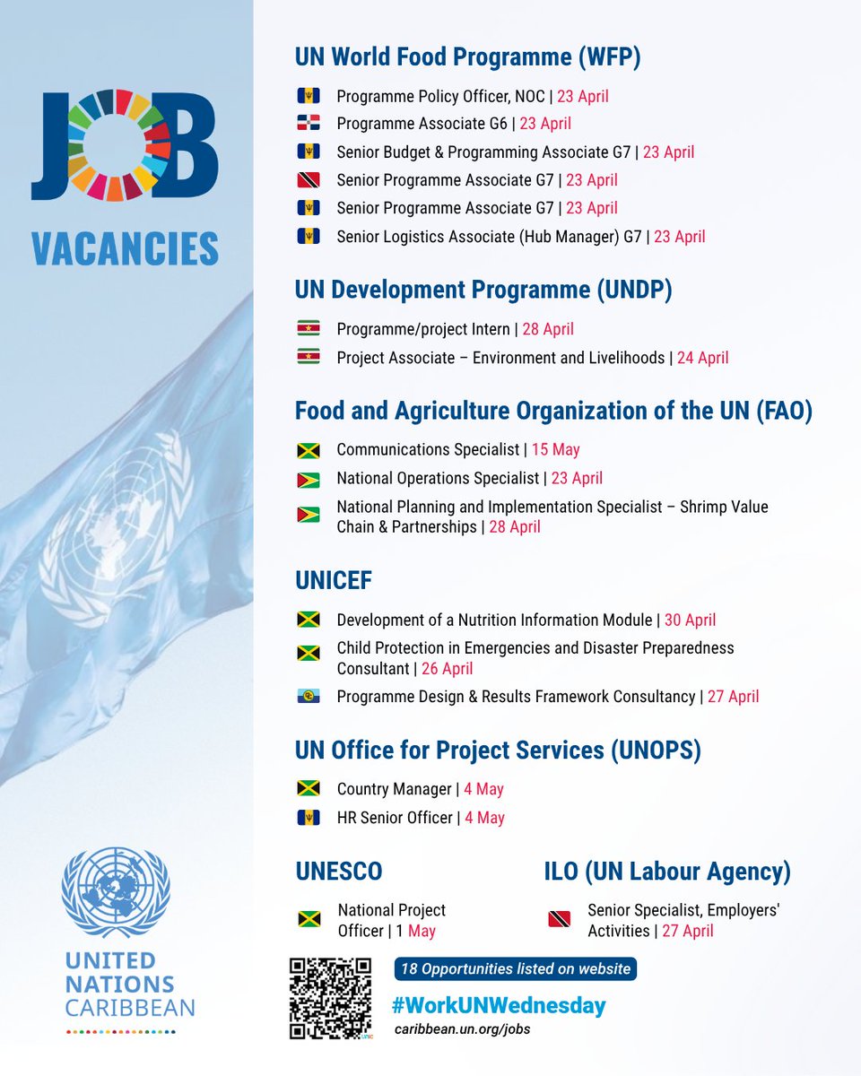 📣 18 UN Career Opportunities now open in the #Caribbean! 💼🇺🇳

Visit our UN Caribbean portal this #WorkUNWednesday to learn about the opportunities listed!

Please note: Application queries must be directed to the hiring agency.

🔗 Browse and Apply at: caribbean.un.org/en/jobs