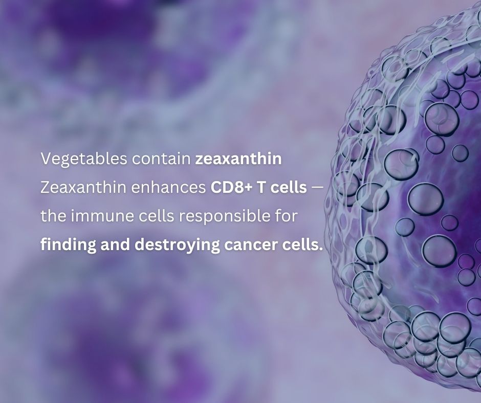 wddty's tweet image. Why you need to eat your greens when you have cancer 🥬
 
#CancerAwareness #NutritionMatters #HealthAndWellness #CancerNutrition #HealthyEating #EatYourGreens #GreenFoods #WellnessJourney #HealthyLifestyle