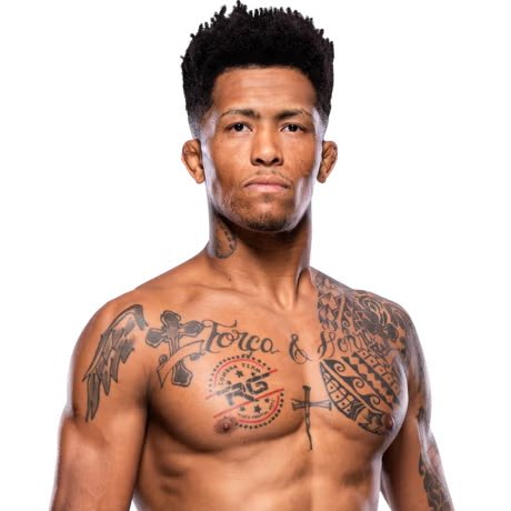 primeira fase tweet media