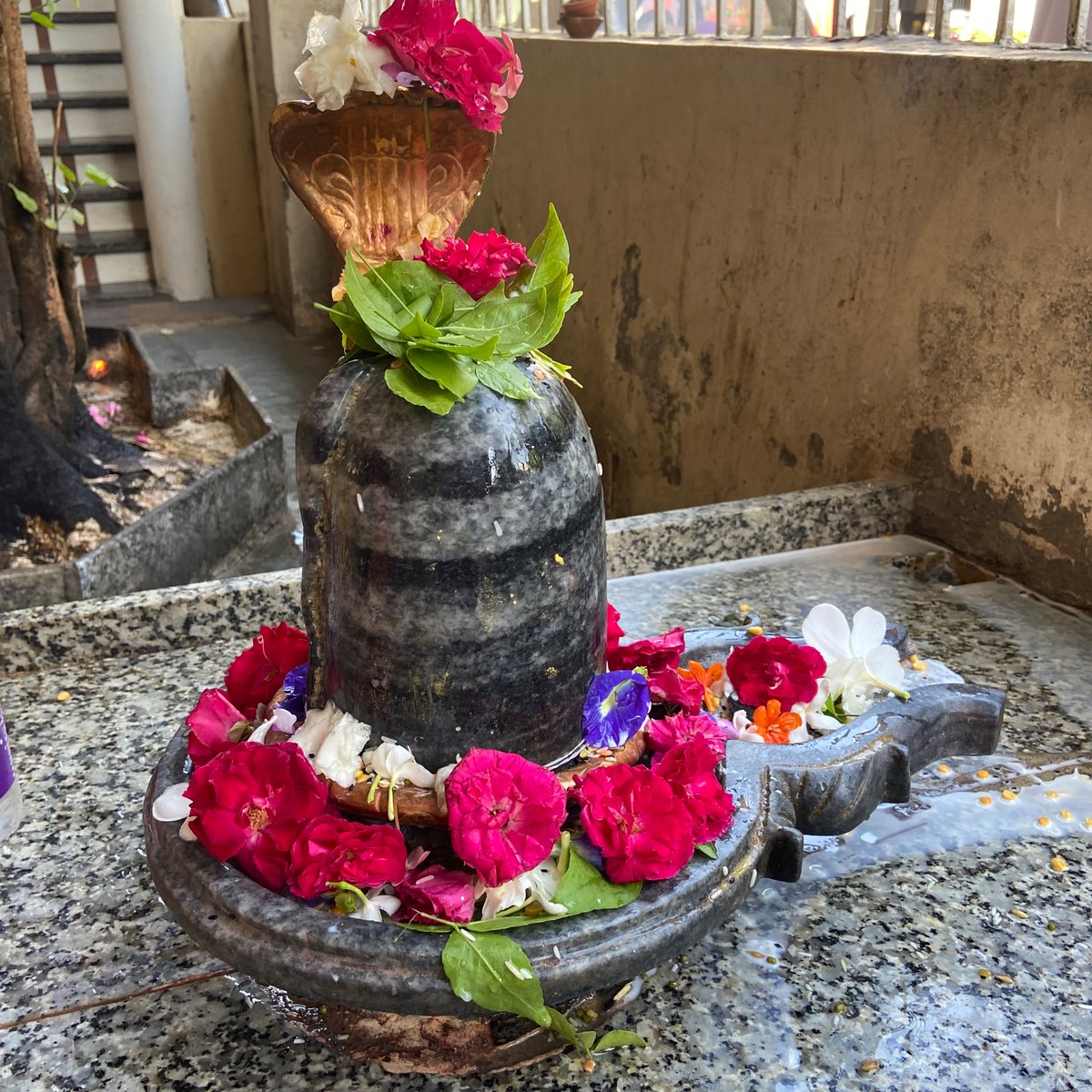 siddhi devī🌹 tweet media