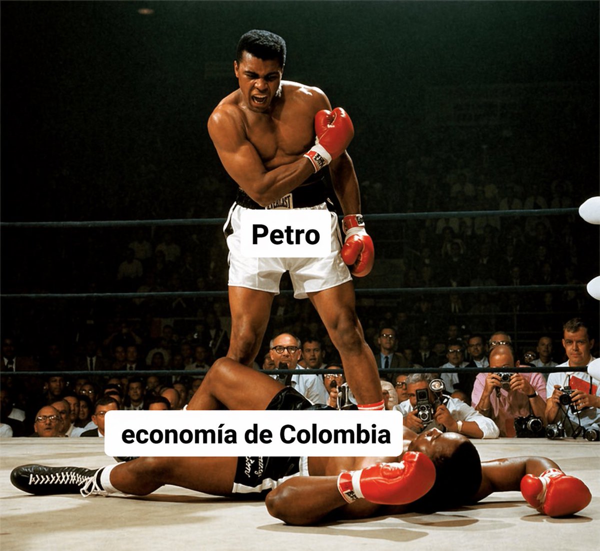 Fernando Bayona tweet media