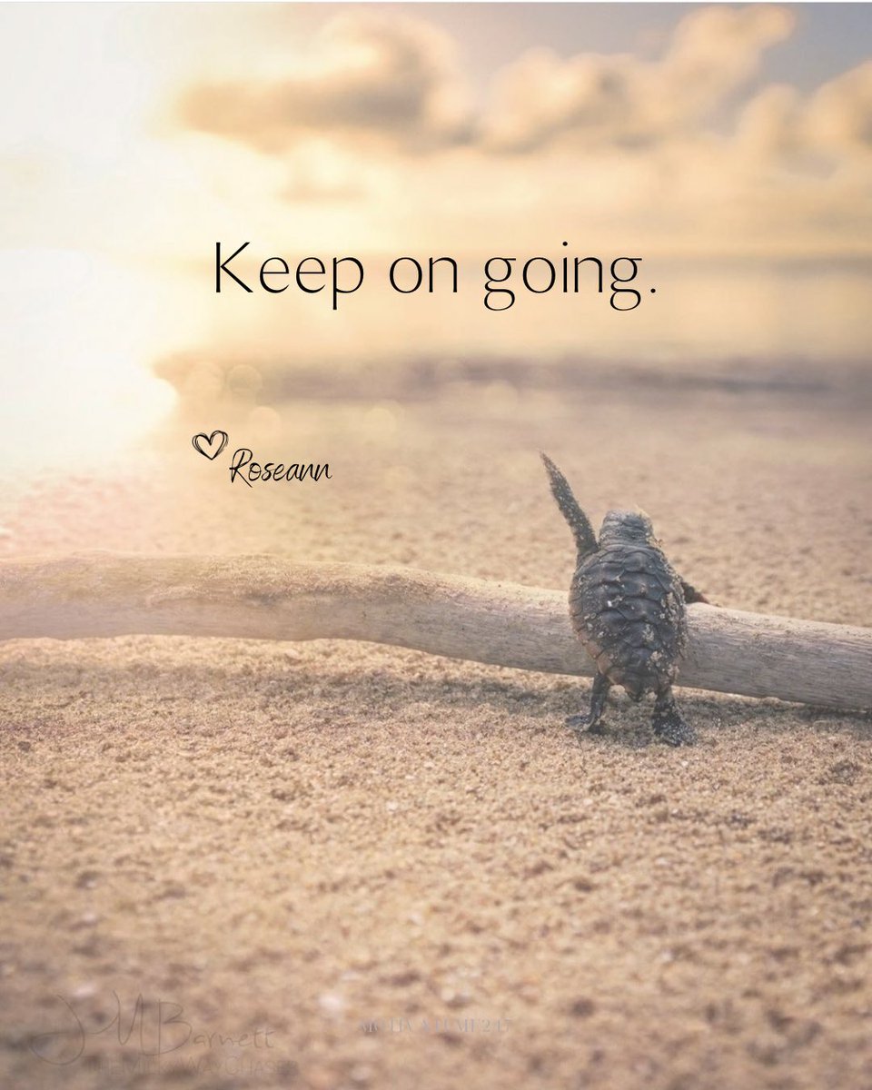 Motivateme247's tweet photo. always 🫶 https://t.co/W7TwjqEVRQ