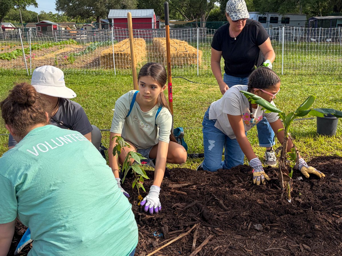 Pinellas County Schools tweet media