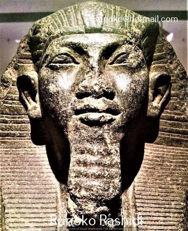 thethankfulservant tweet media