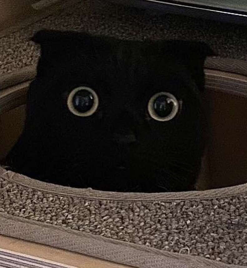 rikki ₍𝄐⩌𝄐₎ྀི tweet media