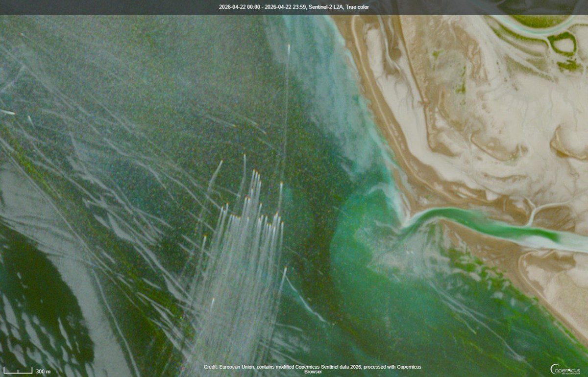 VolgaLad tweet media