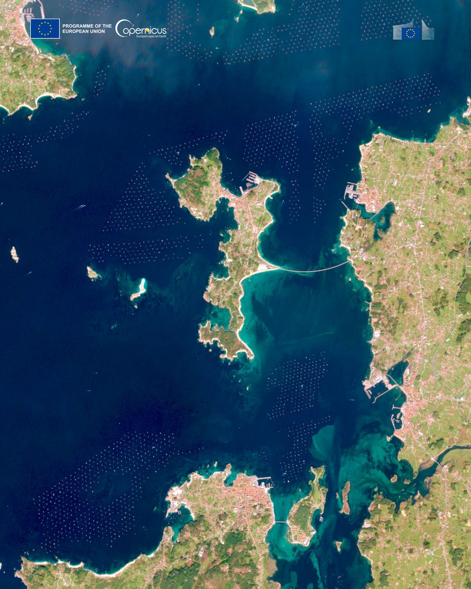 EU Agriculture🌱 tweet media