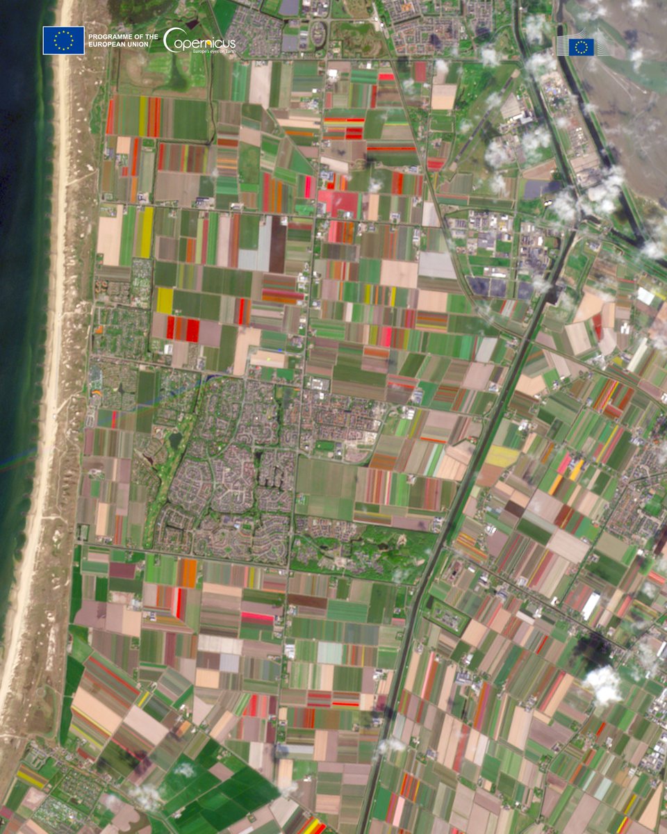 EU Agriculture🌱 tweet media