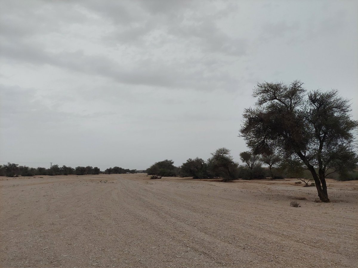 هاجس الذكرى tweet media