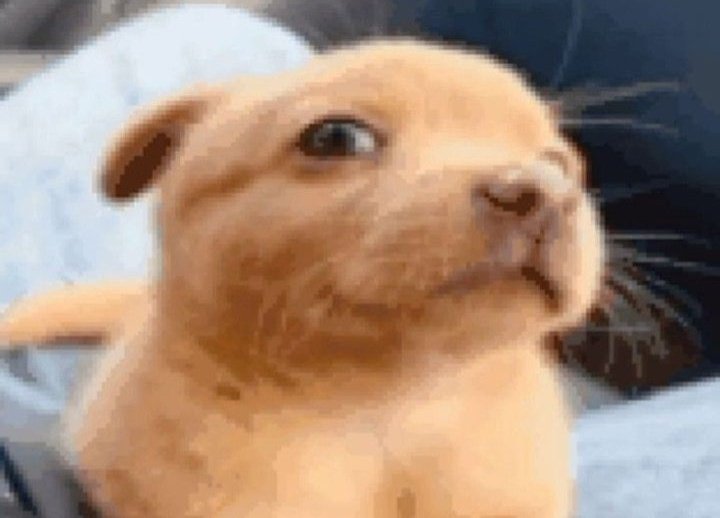 Dee⁷ 🪭🥂🍓 tweet media