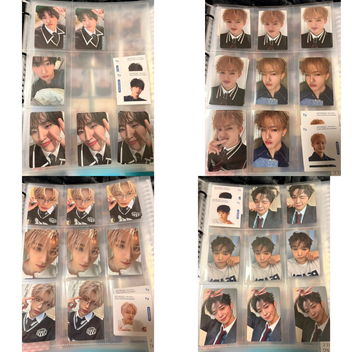 👾SHINO👾 tweet media