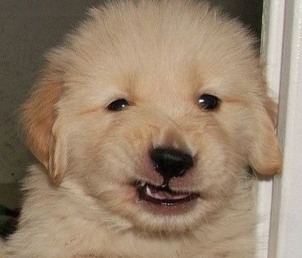 Dee⁷ 🪭🥂🍓 tweet media