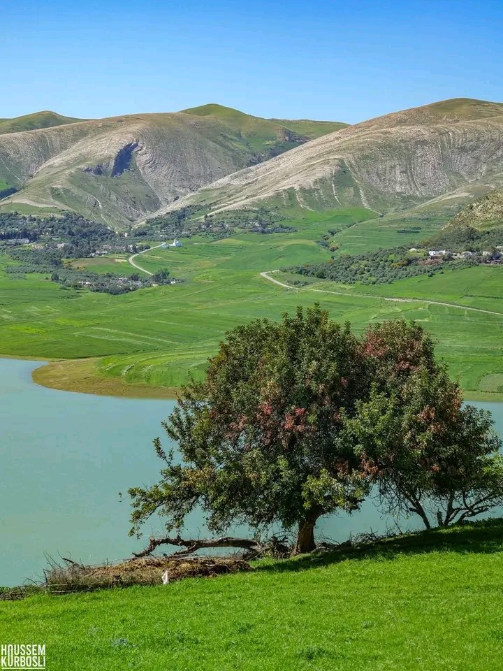 ☀︎سيرِّين tweet media