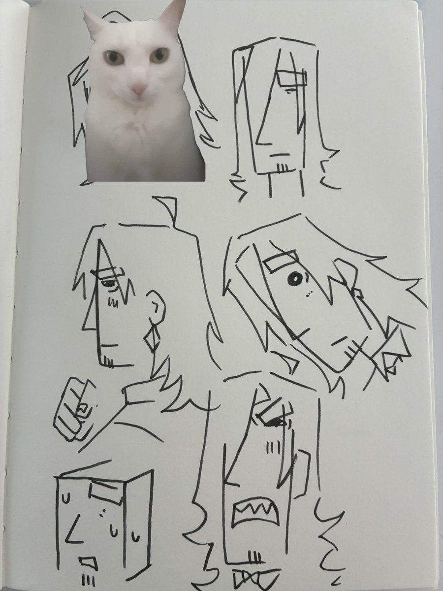 cass🎸 tweet media