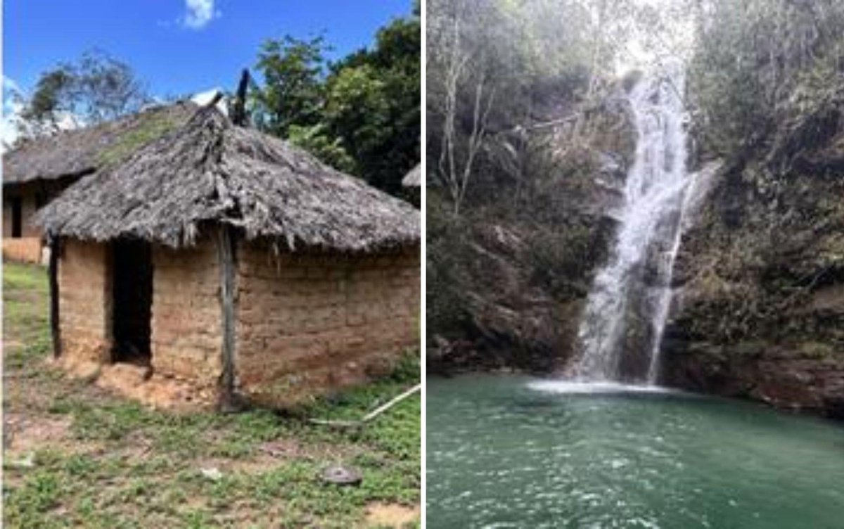 jornal_opopular's tweet photo. Tombamento do território Kalunga na Chapada dos Veadeiros deve transformar o perfil do turismo na região
📲 Leia agora em O Popular: https://t.co/btdcro5NBj
#LeiaAgora #OPopular #cultura #TerritórioKalunga #ChapadadosVeadeiros #Cavalcantede #TeresinadeGoiás #MonteAlegredeGoiás https://t.co/7TwWr44GN5