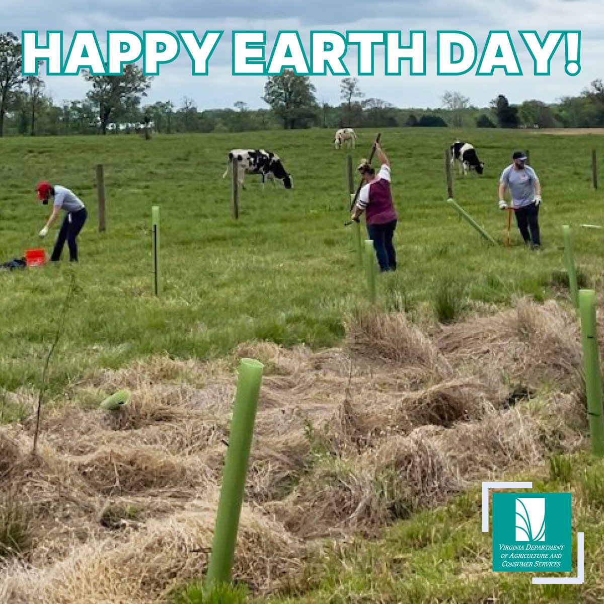 VaAgriculture's tweet image. Every day is Earth Day for a farmer. 🌎🌱 Virginia farmers have long been quality stewards of the land, whether it is through voluntary or incentive-based programs that protect soil health and water quality.   #EarthDay2026 #SustainableAg #Stewardship