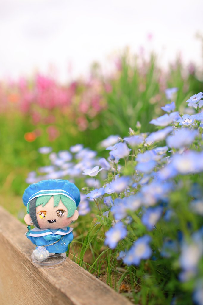 七海👴5/5🥓東3の24ab-5/6🌊東3る16 tweet media