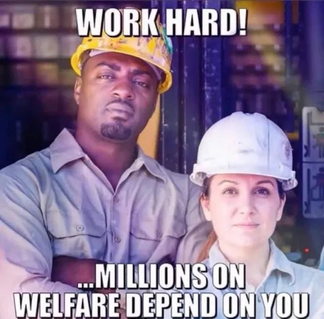 Likes Dogs more than humans tweet media