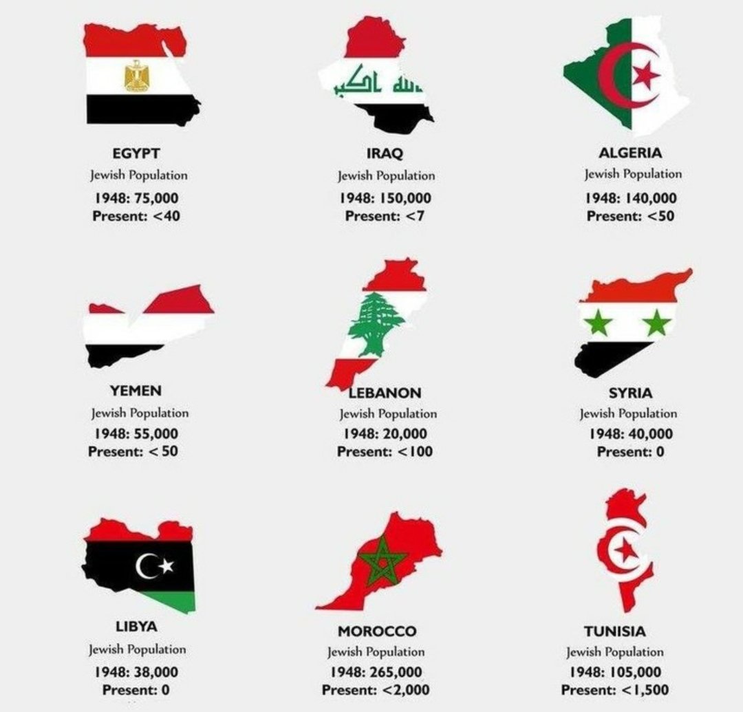 LushLush tweet media