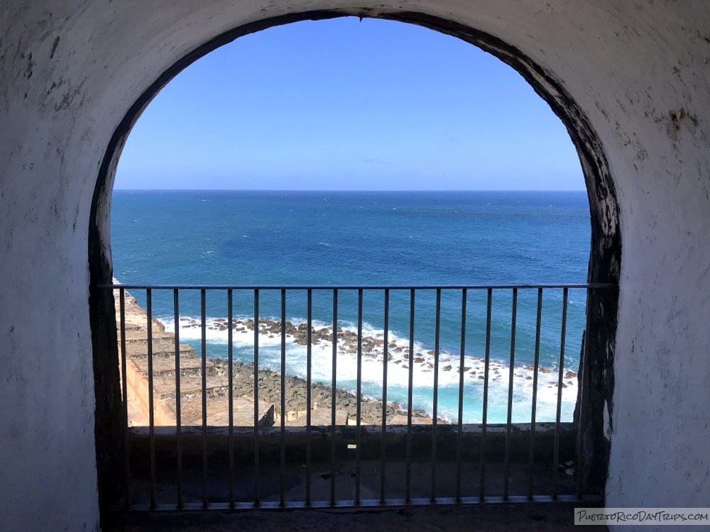 PuertoRicoDayTrips tweet media