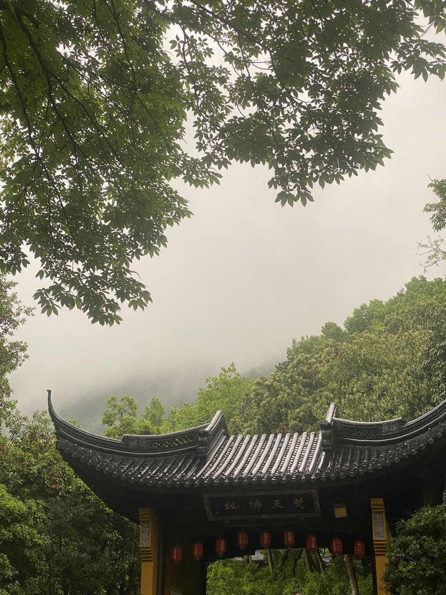 guagua🍉 tweet media