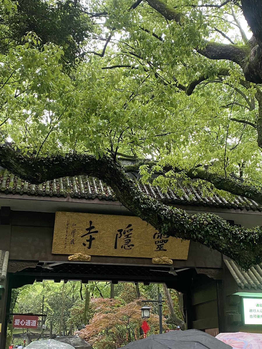 guagua🍉 tweet media