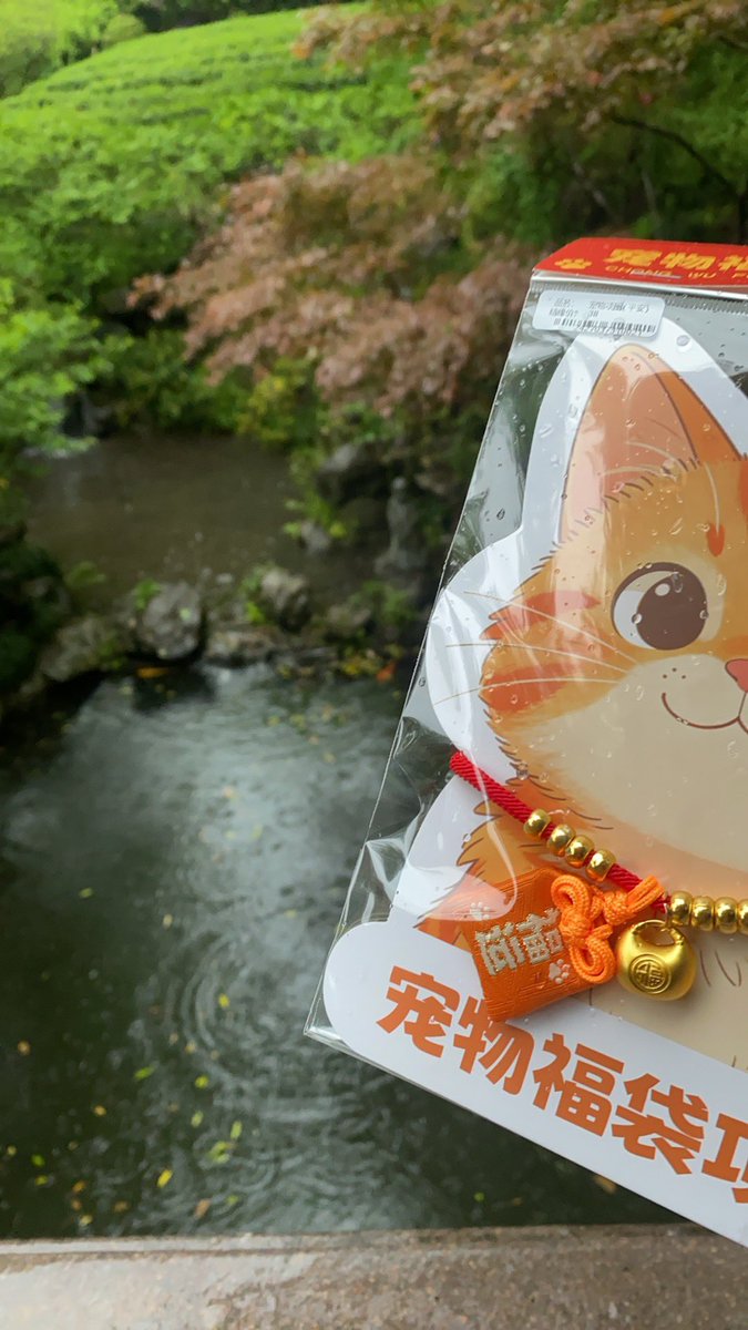 guagua🍉 tweet media