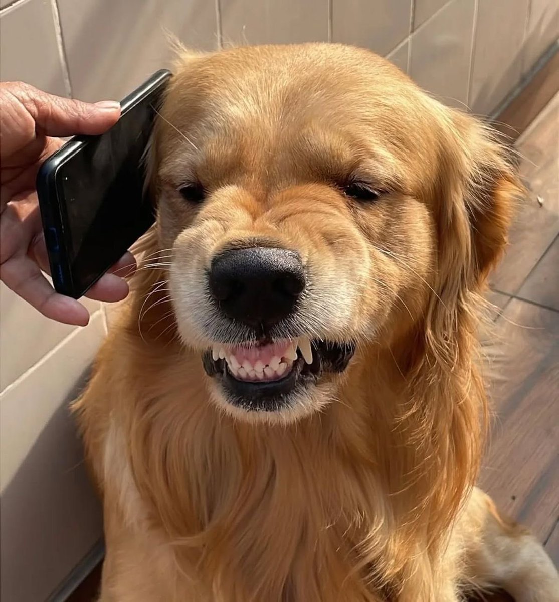 𝑩𝒂𝒃𝒆 ✩ tweet media