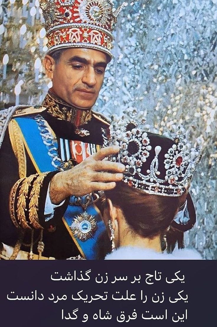 🦋 Anigma tweet media