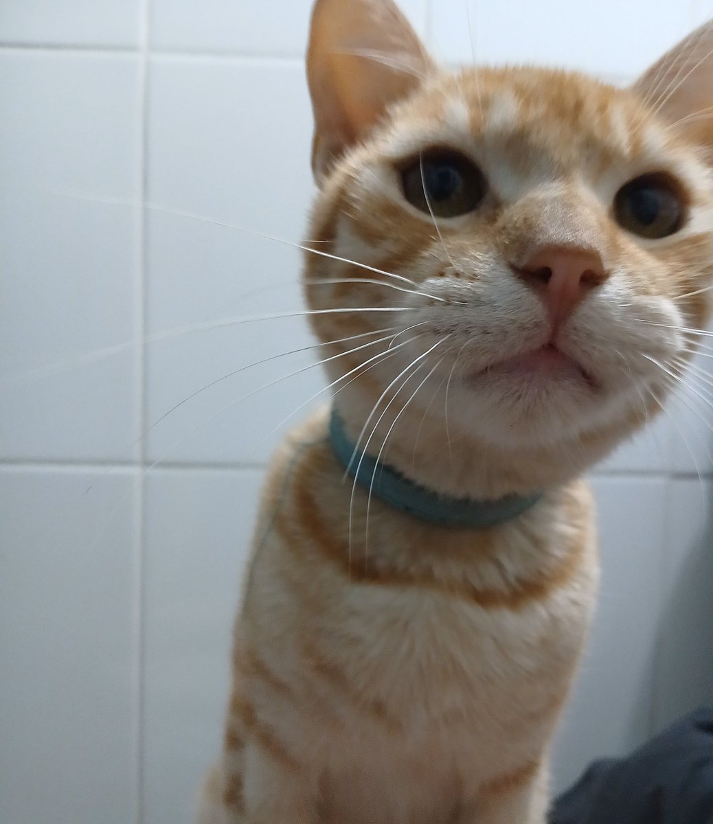 day ⊙⊝⊜ tweet media