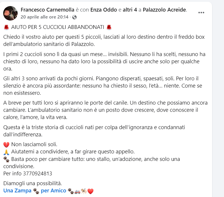 zampa_qua's tweet photo. URGENTISSIMO 🆘🆘🆘🆘 ☎️3770924813🐕"La prima notte urlano di dolore, abbaiano tanto da singhiozzare. "https://t.co/YAndLQsB9w 5 piccoli dentro freddo box ,meritano un futuro migliore guardando quegli occhietti, o condividete questo post #4voiceless https://t.co/CKbxLjACkF