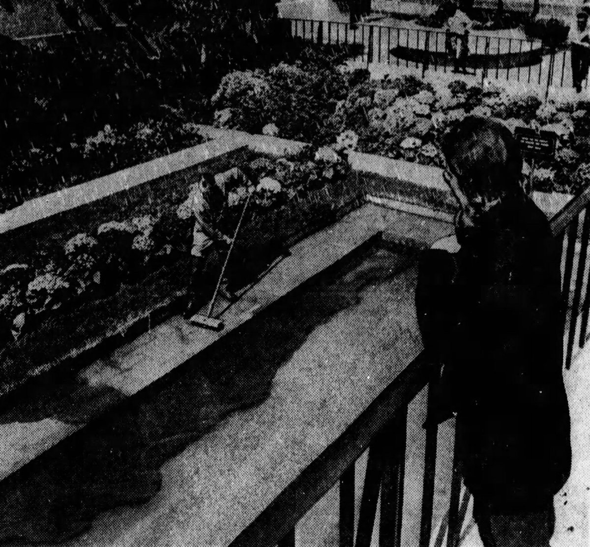 Left in the Bay tweet media