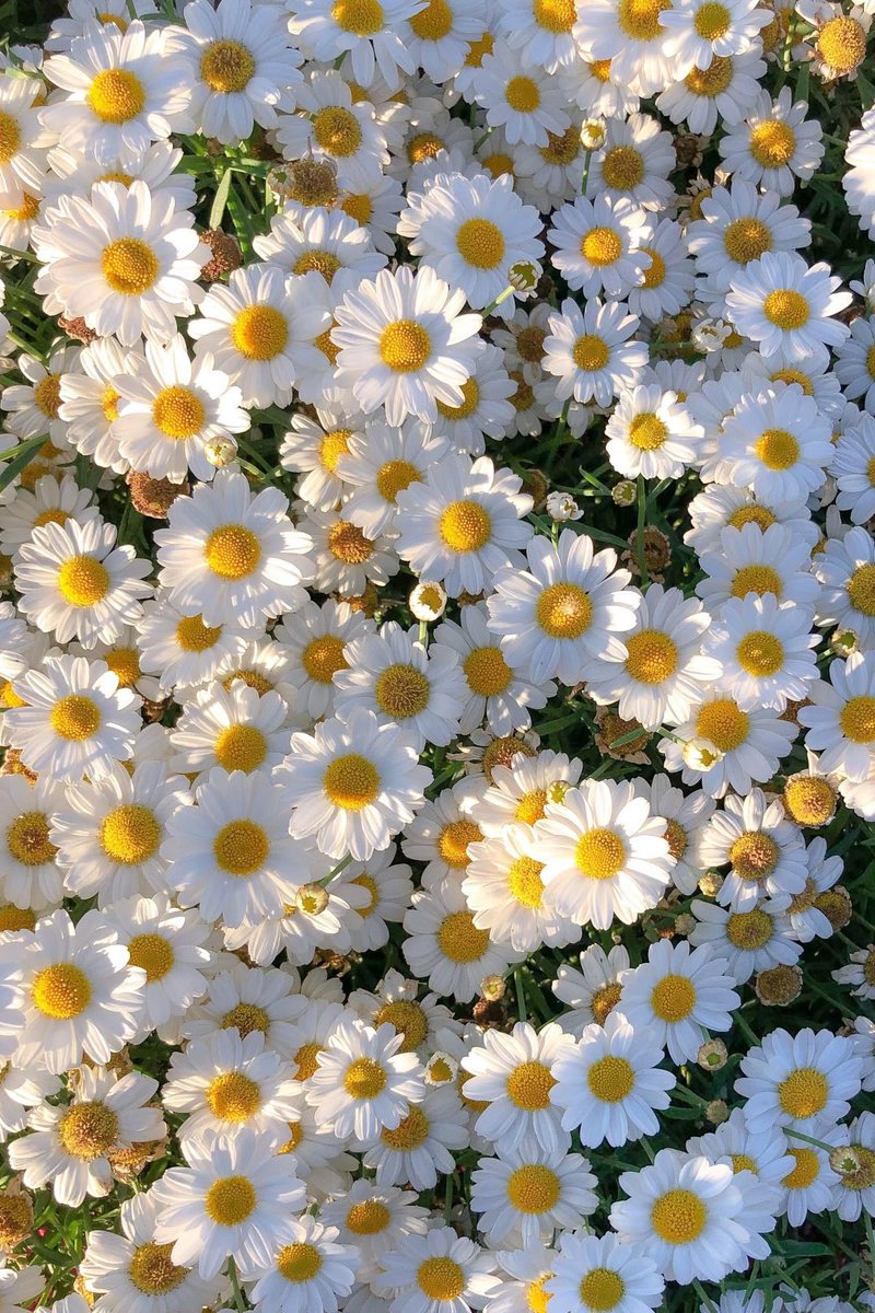 Sol ☼ (@solithra) on Twitter photo 
