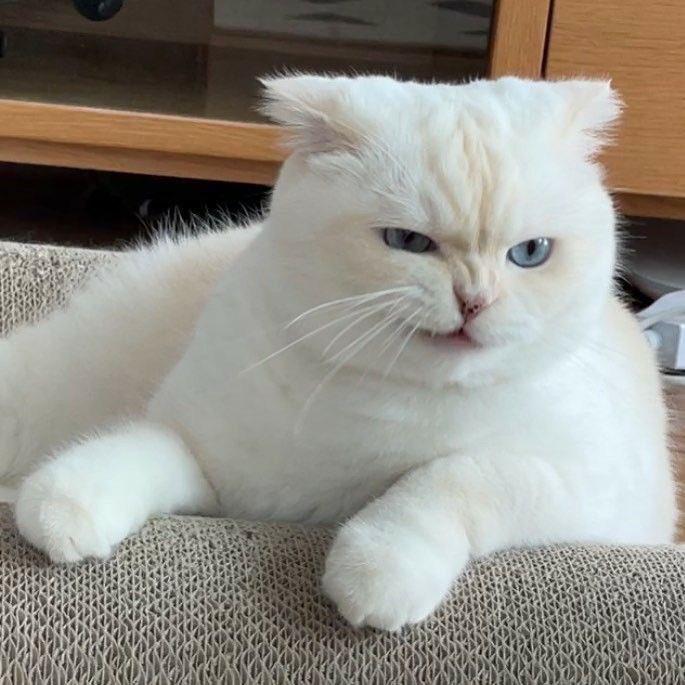 𝑩𝒂𝒃𝒆 ✩ tweet media