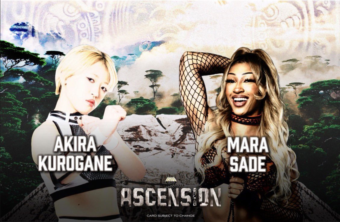 Elite Wrestling Federation tweet media