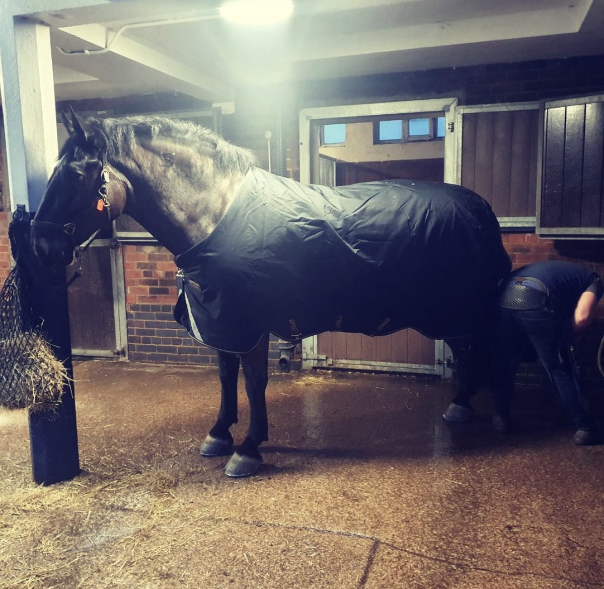 Mer Pol Mounted tweet media