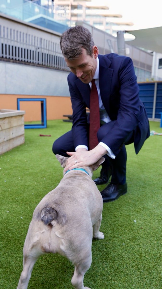 Matthew Pennycook MP tweet media